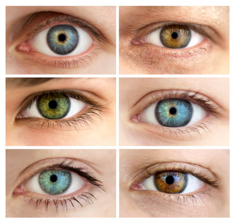 verschiedene Augenfarben
